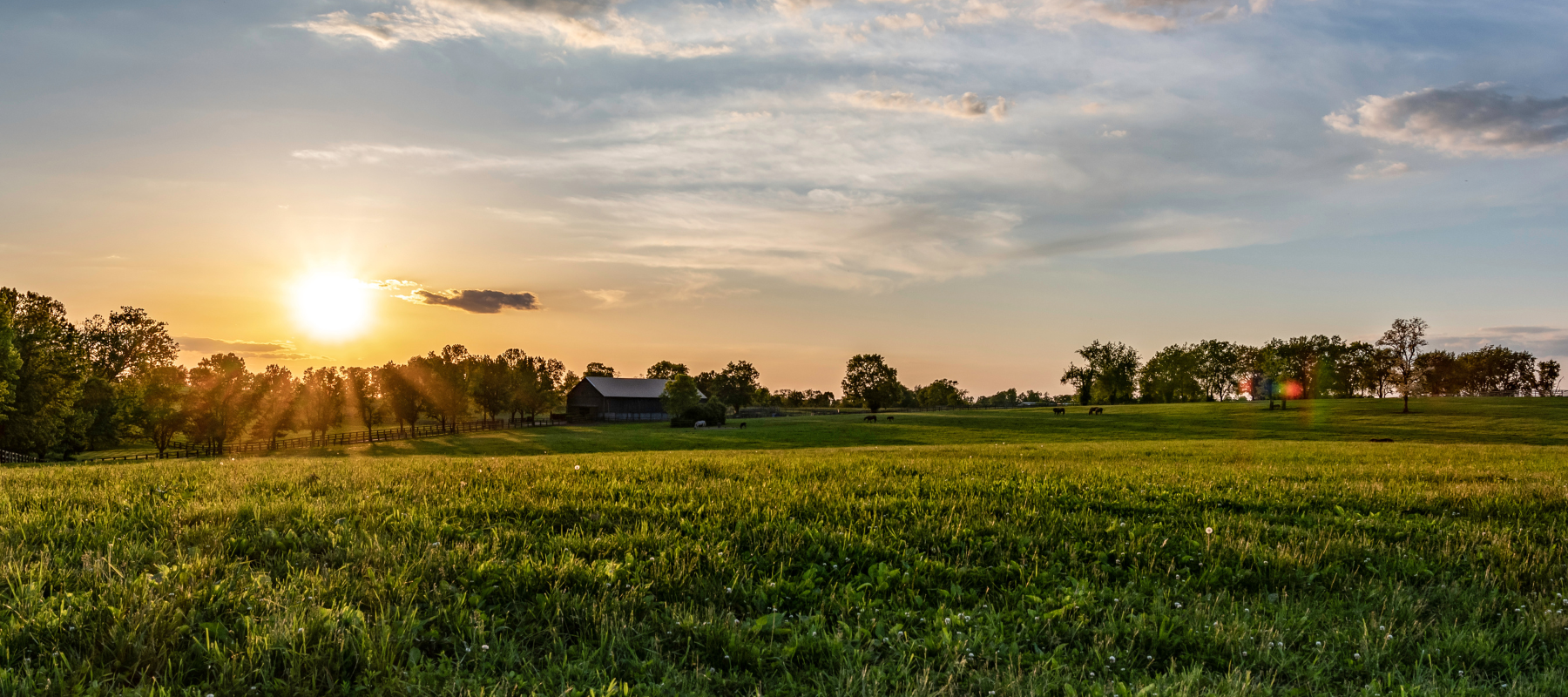 An empty pasture at sunset