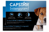 PetIQ CAPSTAR® (nitenpyram) Fast-Acting Oral Flea Treatment for Dogs