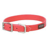 Brahma Webb Dog Collar, Hot Pink, 3/4 x 17-In.