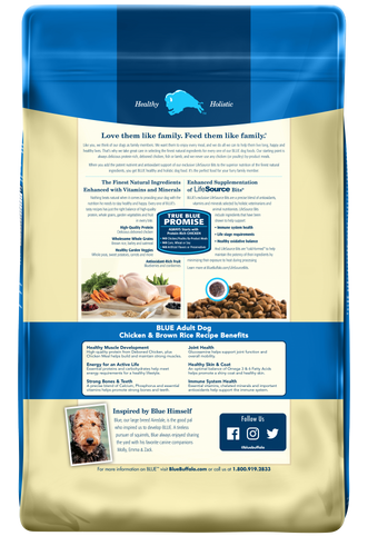 Blue Buffalo Life Protection Natural Chicken & Brown Rice Recipe Adult Dry Dog Food