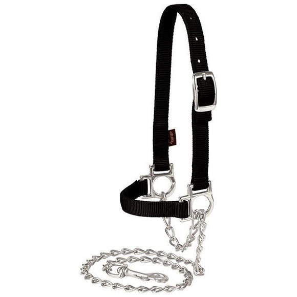 Nylon Adjustable Sheep Halter with Chain Lead