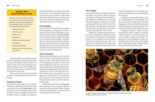 Storey's Guide to Keeping Honey Bees, 2nd Edition