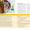 Storey's Guide to Keeping Honey Bees, 2nd Edition