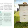 Storey's Guide to Keeping Honey Bees, 2nd Edition