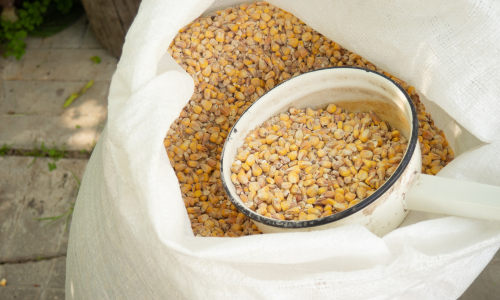 Bag of corn with a white scoop inside of it