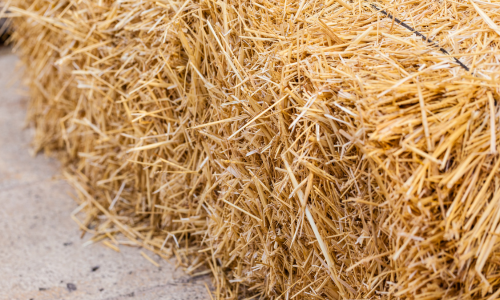 Square hay bale