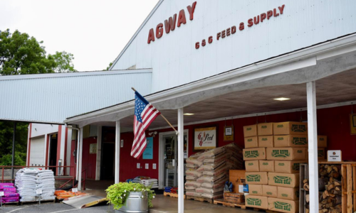 closeup of the G&G Feed & Supply storefront
