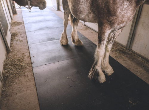 Red Barn® Classic Stall Mat