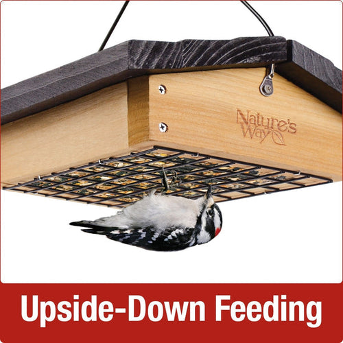 Nature's Way Upside-down Seed Cake Feeder