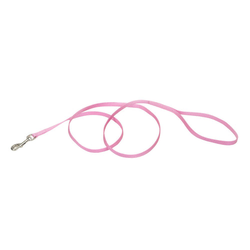 Coastal Single-Ply Dog Leash (Large - 1 x 6', Pink Bright)