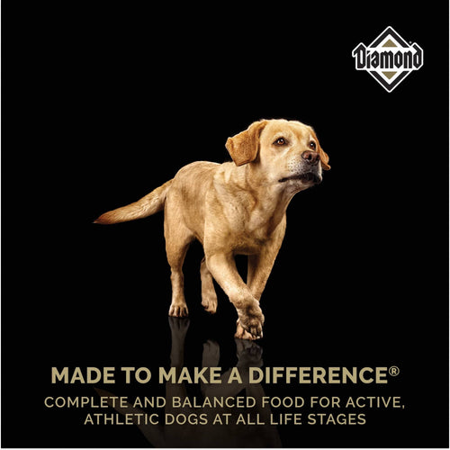 Diamond Premium Adult Dry Dog Food