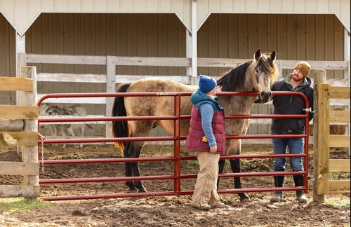 Behlen Country AgStar Gate (Formerly 2 16 Gauge Heavy Duty Gate)