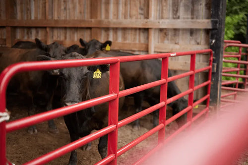 Tarter Bullmax HD Round Corner Gate