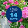 BioAdvanced 3-in-1 Insect, Disease, & Plant Mite Control