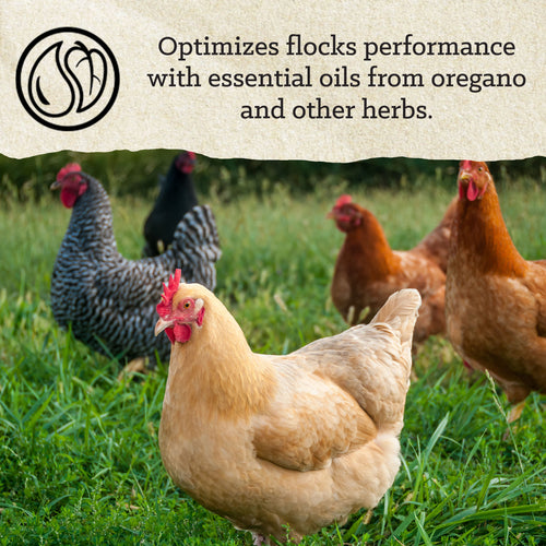Nutrena® NatureWise® Hearty Hen® 18% Soy-Free Protein Pellet