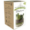 DIY TERRARIUM KIT (MEDIUM)