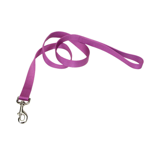 Coastal Single-Ply Dog Leash (Large - 1 x 6', Pink Bright)